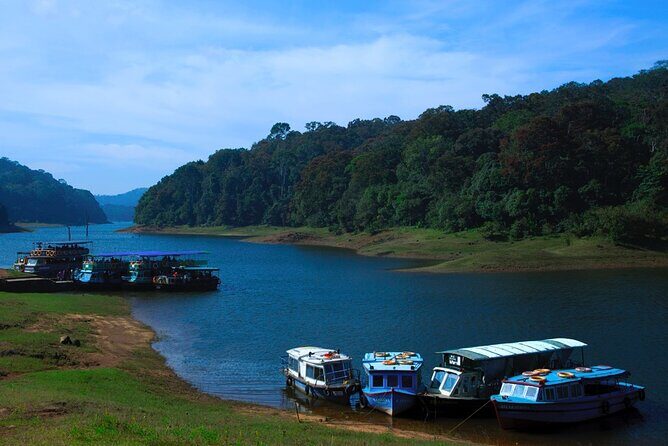 5 Days Luxury Kerala Tour with Houseboat Experience - A Deep Dive into the 5-Day Kerala Experience