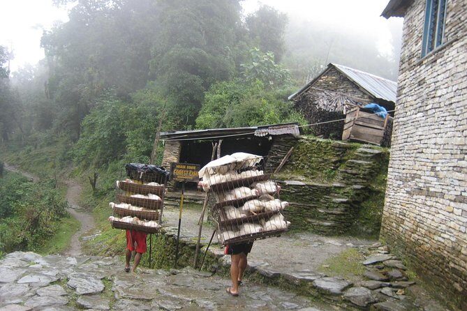 5 Days Mardi Himal Base Camp Trek - The Complete Trek Experience: A Deep Dive