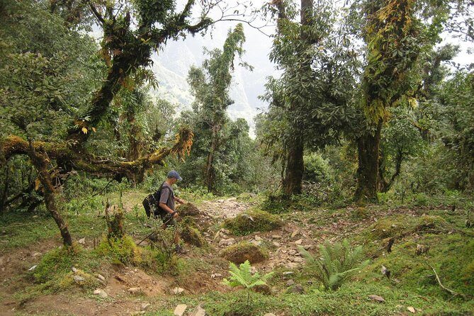 5 Days Mardi Himal Base Camp Trek - FAQ