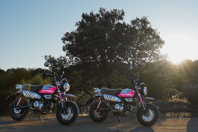 5 days Motorcycle Fun Tour in the North of Portugal - Key Points