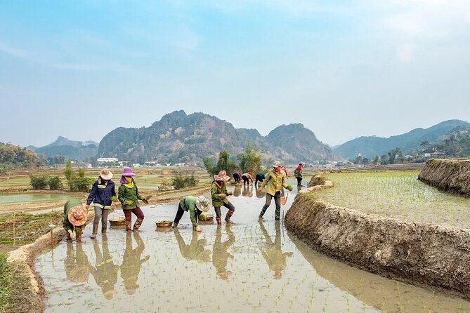 5 days North Vietnam at a Glance:Hanoi, Halong bay & Sapa - Who Should Consider This Tour?