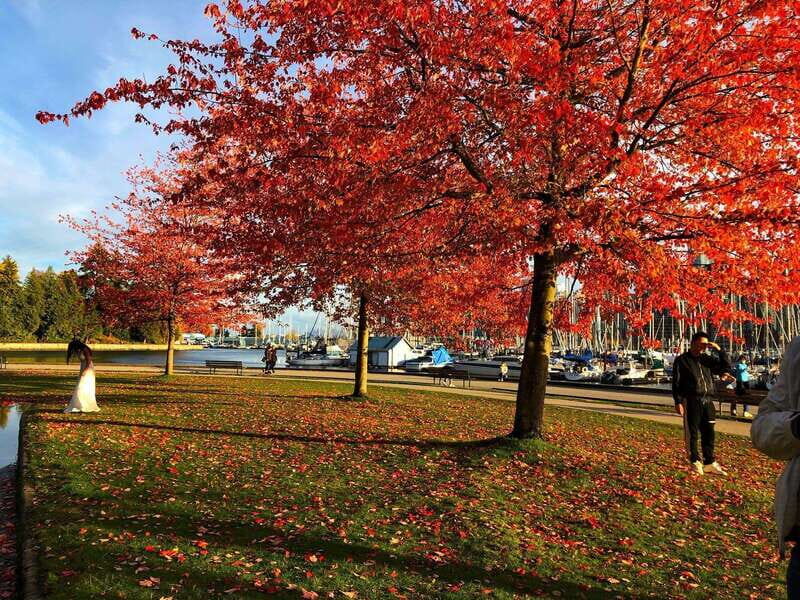 5 Days of Adventure in Vancouver  Activities-Only Tour - The Experience Provider and Similar Tours