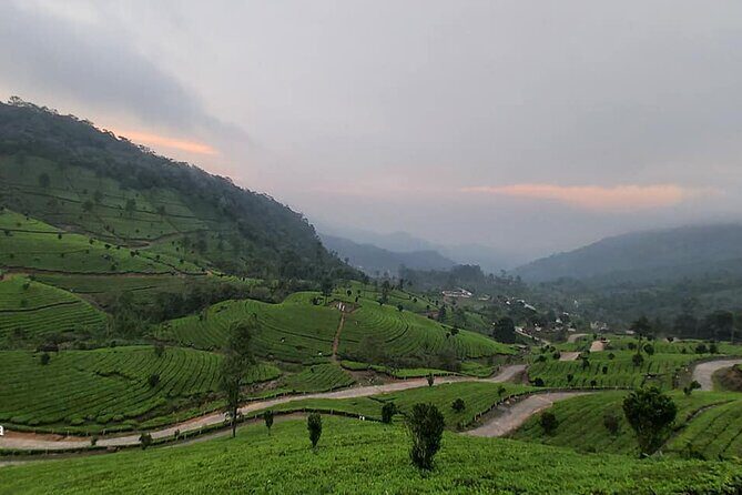 5 Days Private Kerala Tour with Houseboat by Sanguine Holidays - What Travelers Say About the Experience