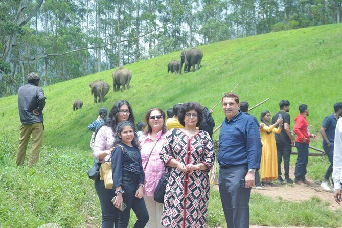 5-Days Private Kerala Tour with Sightseeing Tickets - A Deep Dive into the 5-Day Kerala Experience