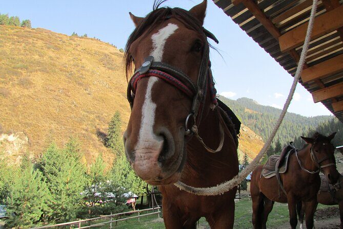 5 days sightseeing and skiing trip in Kyrgyzstan - FAQs