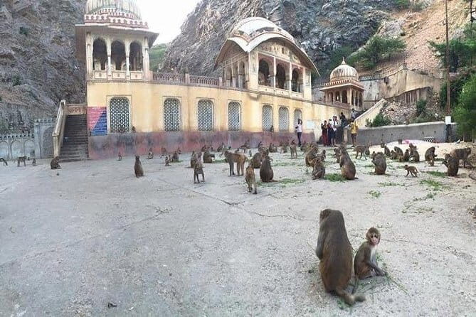 5 Days To A Better Golden Triangle India Tour On A Budget - An In-Depth Look at the 5-Day Itinerary