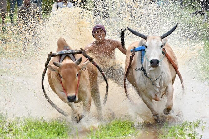 5 days to meet the Mentawai tribe - Who Should Consider This Tour?