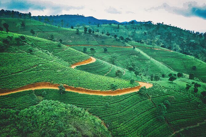 5 Days Tour In Sri Lanka - Final Thoughts