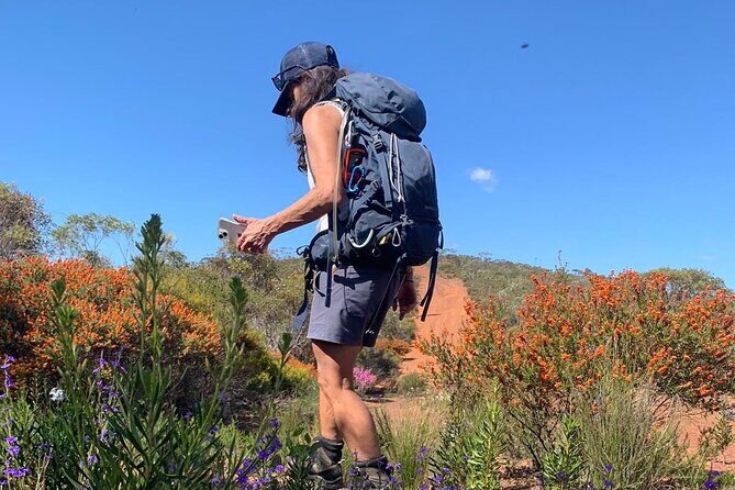 5 Days Walking with Wildflowers - Fitzgerald Biosphere - Key Points
