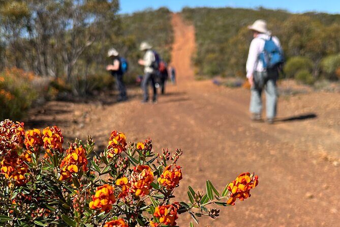 5 Days Walking with Wildflowers - Fitzgerald Biosphere - Authentic Experiences and Genuine Insights