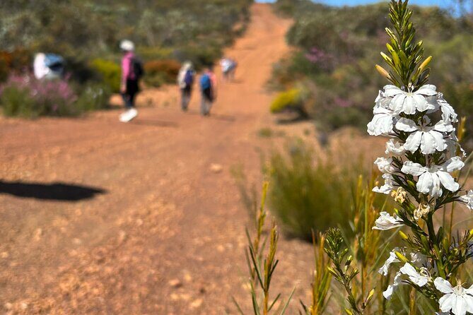 5 Days Walking with Wildflowers - Fitzgerald Biosphere - Who Will Love This Tour?