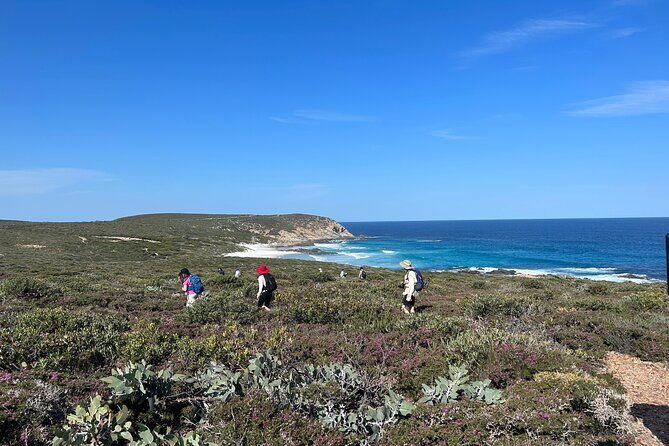 5 Days Walking with Wildflowers - Fitzgerald Biosphere - The Sum Up