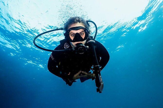 5 Fun Dives in Nusa Lembongan (for certified divers) - Swim with a Mola Mola - The Sum Up: Is This Tour Worth It?