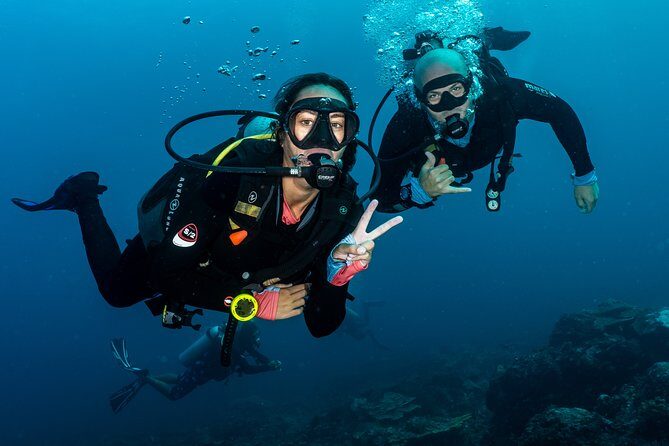 5 Fun Dives in Pemuteran (for certified divers) - Exploration in Menjangan Park - FAQ