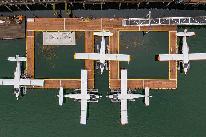 5-Glacier Seaplane Exploration - Who Should Consider This Tour?