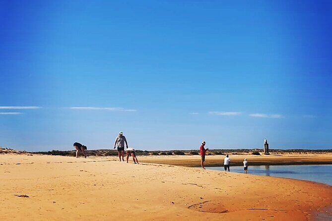 5 Hour Boat Tour in Ria Formosa - The Experience: What the Tour Includes and What You Can Expect