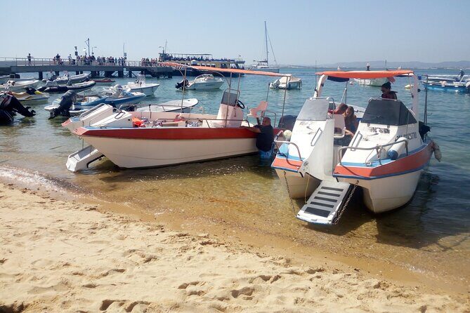 5 Hour Boat Tour in Ria Formosa - Practical Details That Matter