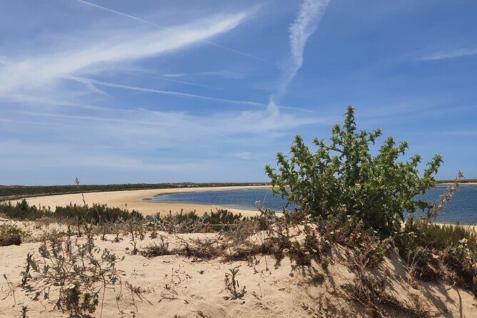 5 Hour Boat Tour in Ria Formosa - Who Should Consider This Tour?