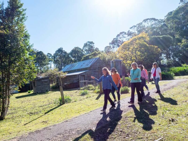 5-hour Eden Small Group Tour: Beaches, Lookouts and More - FAQs