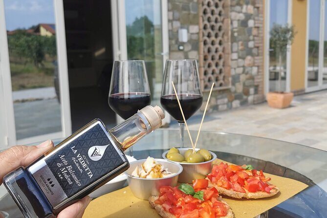 5-Hour Food and Wine Tasting in Modena - Key Points