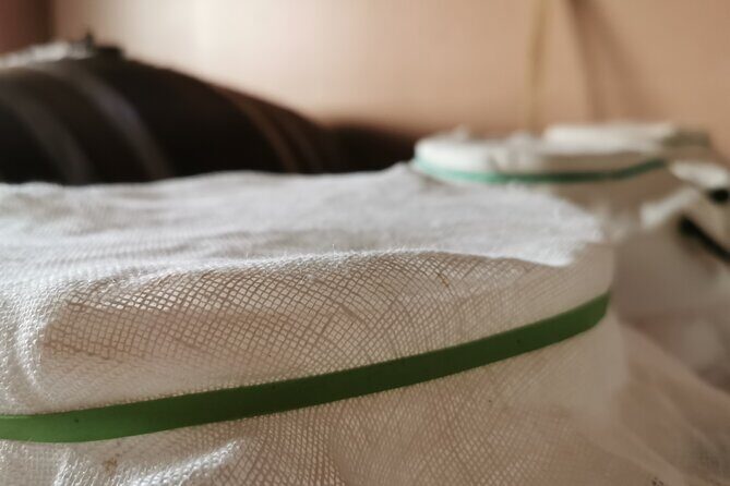 5-Hour Food and Wine Tasting in Modena - FAQ