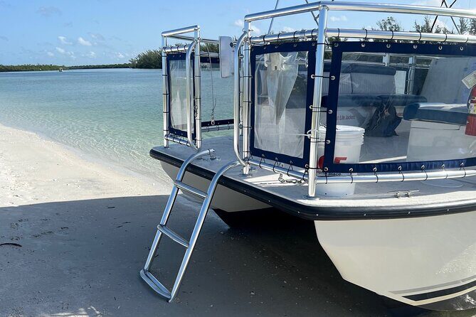 5 Hour Keewaydin Island Beach Tour - The Sum Up: Who Is This Tour Best For?