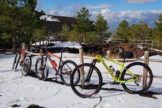 5-Hour Mount Etna Mountain Biking Tour - Detailed Breakdown of the Itinerary