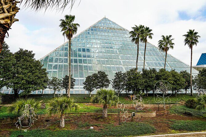 5 Hour Private Coastal Adventure in Galveston Island - What Makes This Tour Stand Out?