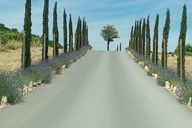 5-Hour Private Sightseeing Tour of the Provence from Marseille in Luxury Car - FAQs
