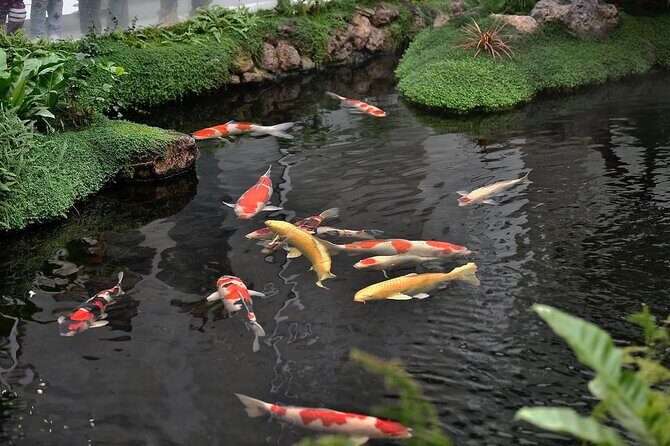 5-Hour Self-Guided Layover Tour to Luo Hong Art Museum with Peking Duck Option - Key Points
