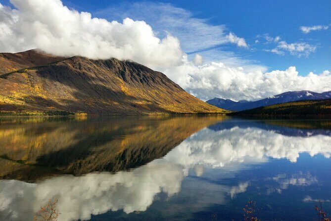 5 Hour Tour to the Yukon Border with Suspension Bridge - FAQs