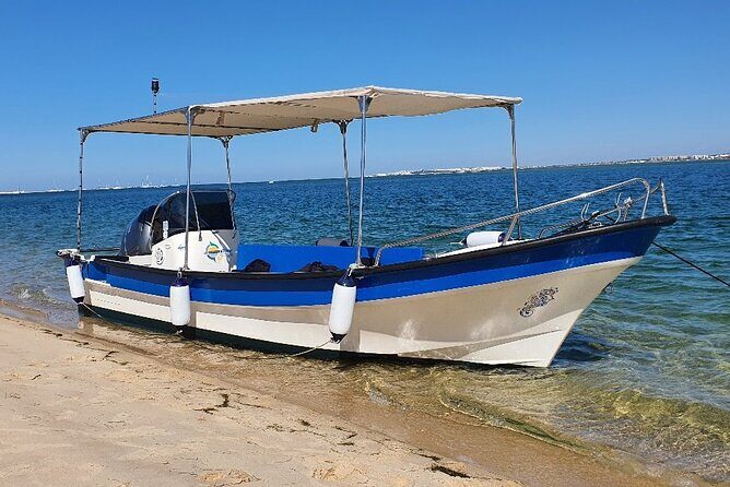 5-hour tour with 3 stops around the islands and beaches of Ria Formosa - The Value of a Private, Tailored Tour