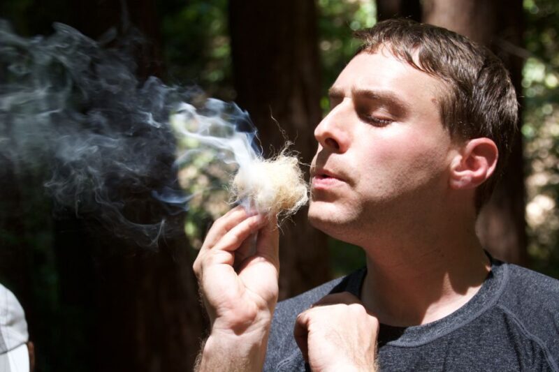 5-Hour Wilderness Skills & Survival Clinic - What to Expect from the Survival Clinic
