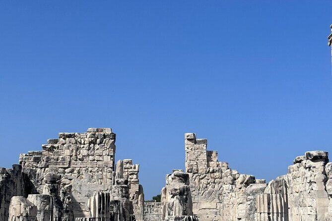 5 Hours Priene Miletos Didyma Customizable Private Tour - Who This Tour Is Best For