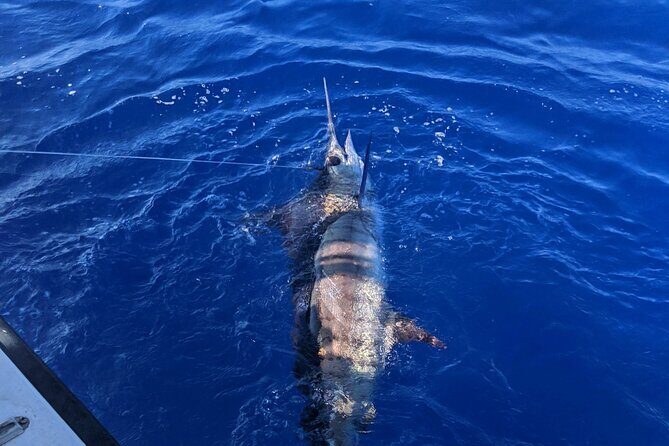 5 Hours Private Fishing Charter in Kailua-Kona - Key Points