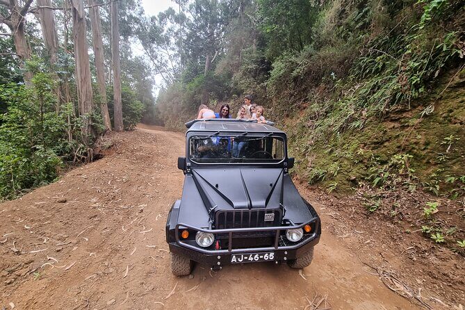 5 Hours Private tour To Porto Moniz, Rock pools, waterfalls - An In-Depth Look at the Itinerary