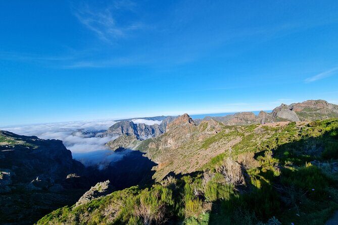 5 Hours Private Tour to Santana, Thatched houses - Practical Details & Tips