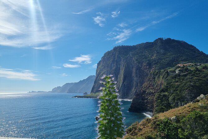 5 Hours Private Tour to Santana, Thatched houses - Summary