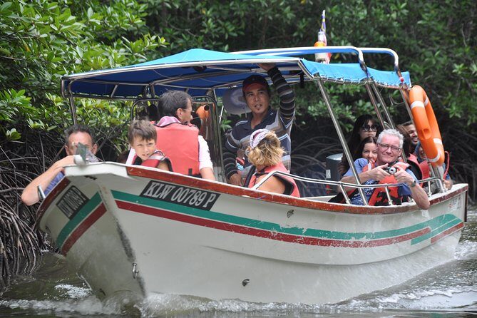 5 Hours Sharing Basis Kilim Mangrove Safari Boat Tour in Langkawi - A Quick Intro: What’s This Tour All About?