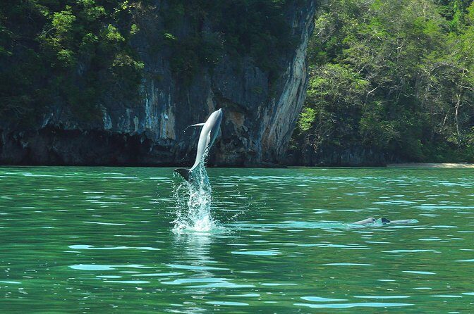 5 Hours Sharing Basis Kilim Mangrove Safari Boat Tour in Langkawi - The Floating Restaurant & Lunch Break