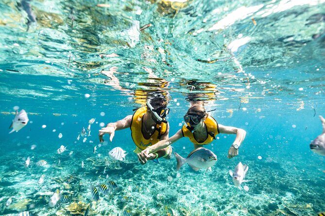 5-in-1 Cancun Snorkeling Tour with Sea Life & Transport Included - Final Thoughts: Is This Tour Right for You?