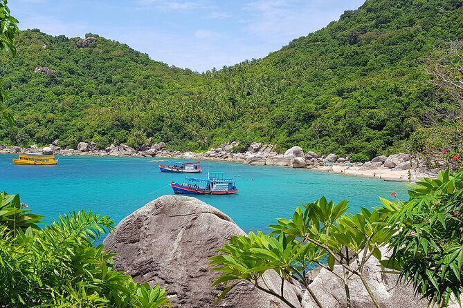 5 Islands Full-Day Tour Around Koh Tao and Koh Nangyuan - Who Should Book This Tour?