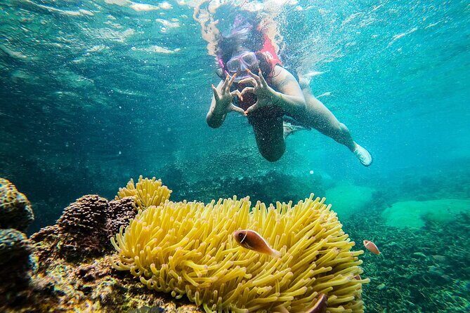 5 Islands Full-Day Tour Around Koh Tao and Koh Nangyuan - The Sum Up