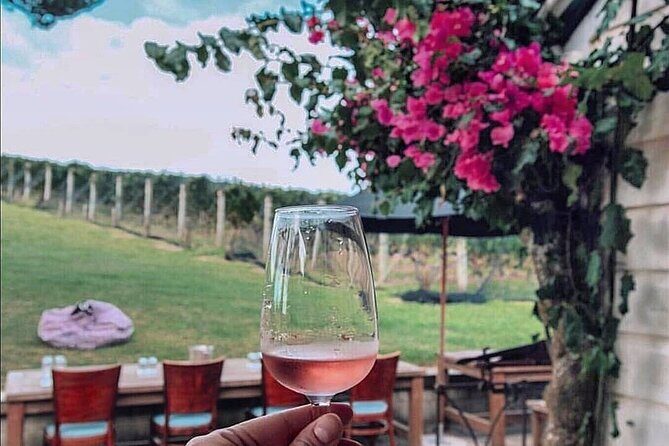 5 or 7 hour Far End of Waiheke Scenic Wine Tour in Electric Vans - Who Is This Tour Best For?