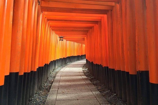 5 Top Highlights of Kyoto Full Day Bike Tour (E-bike option) - Why This Tour Stands Out