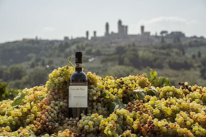 5 Wine Tastings in San Gimignano - Who Should Book This Experience?