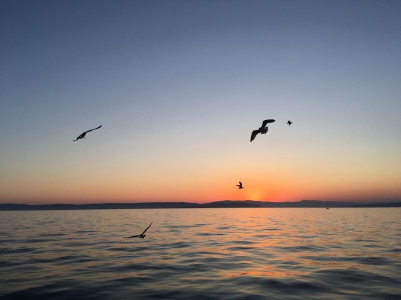 5,5h Plavnik Island: Swim & Snorkel with Capt. Bobo(Private) - Key Points