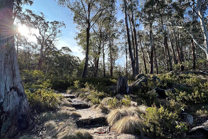 5G Australia eSIM - Up to 50GB or Unlimited Data; No Roaming Fees - What Is the 5G Australia eSIM?