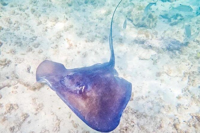 5H Private 40'Catamaran All-Inclusive in Tulum & Playa del Carmen - Practical Details & Tips