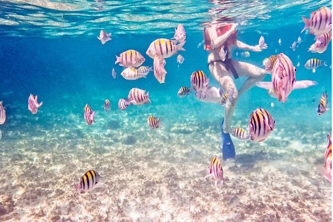 5H Private 44' Catamaran All-Inclusive - Tulum & Playa del Carmen - What the Price Gets You: Is It Worth It?